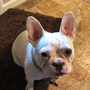 Meet your Posher, Jane